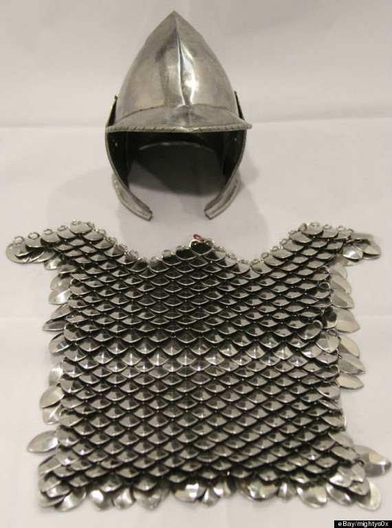 Guinea Pig Suit Of Armour Is This Season's MustHave Pet Outfit (PICTURES)