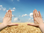 Managing Work Stress
