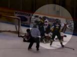 Brantford Hockey Fight