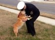 Perrita lucha contra el cáncer para volver a ver a su dueño (VIDEO)
