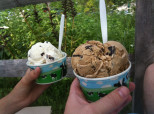 VOTE: What's The Best Ben & Jerry's Flavor?