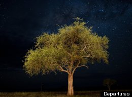 The 9 Best Places To Stargaze 