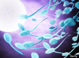 Fertilité et muguet