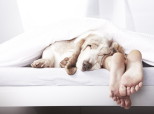 Sleep Mistakes