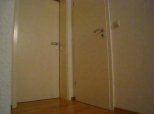 Giant Snake Opens Door