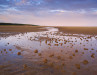 Nude Beach Uk