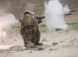 Afghanistan's Sad Last Chapter