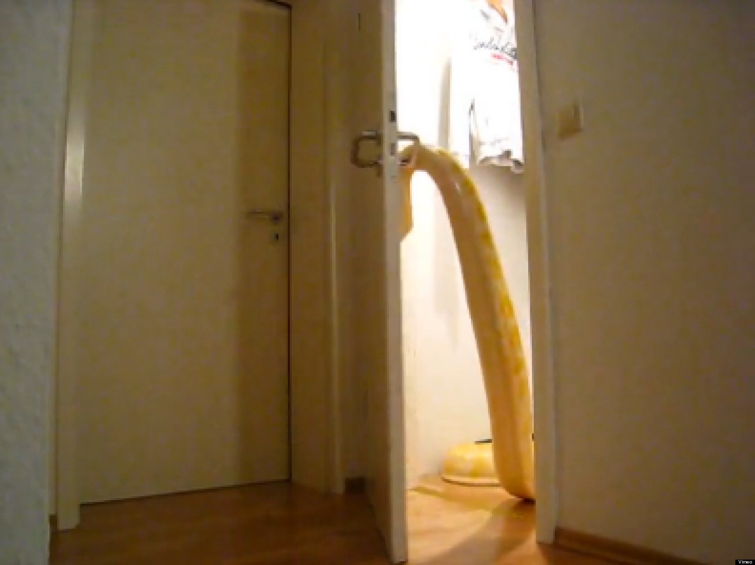 Snakes Opening Doors at Pauline Ramsey blog