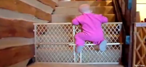 MISIÓN IMPOSIBLE: BEBÉS QUE ESCAPAN (VIDEO)