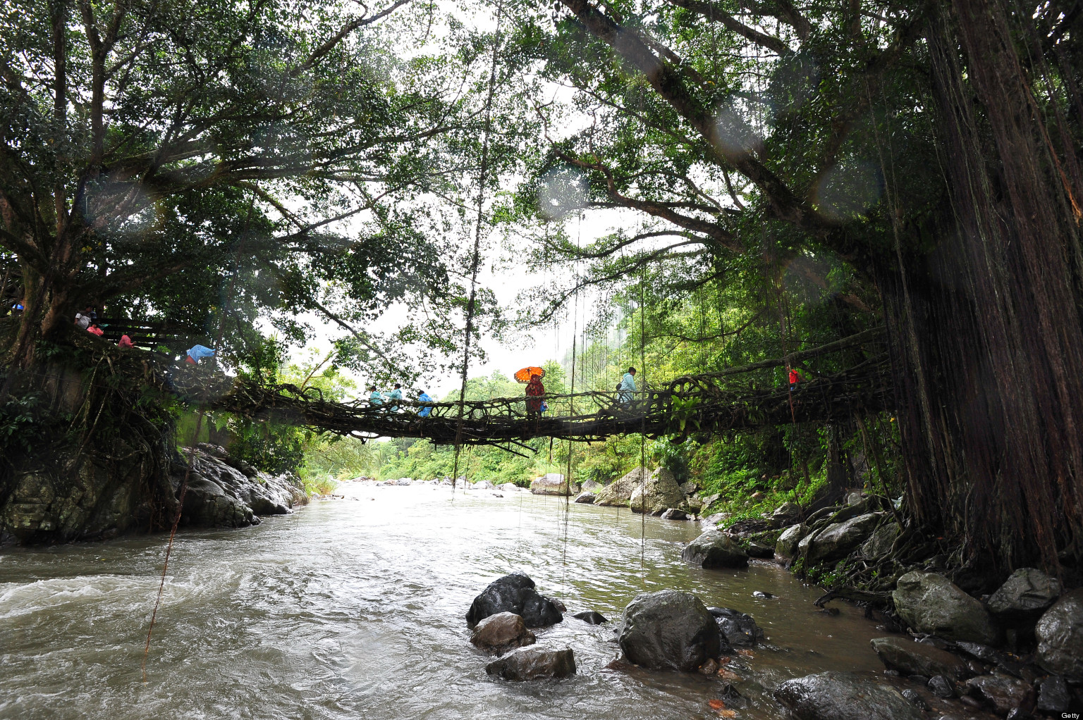 Jembatan Akar: Indonesia's Living Root Bridge | HuffPost