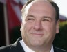 JAMES GANDOLFINI DEAD