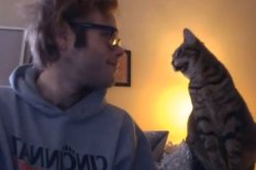 Pouncey the cat with owner