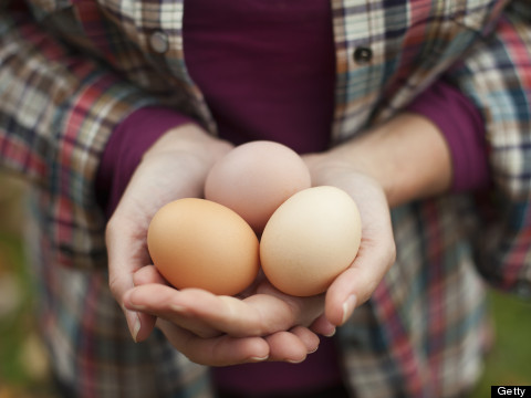 7 Things You Didn't Know About Eggs  
