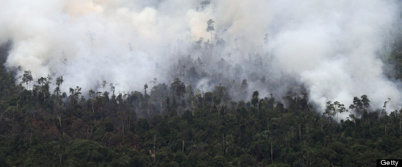indonesia fires