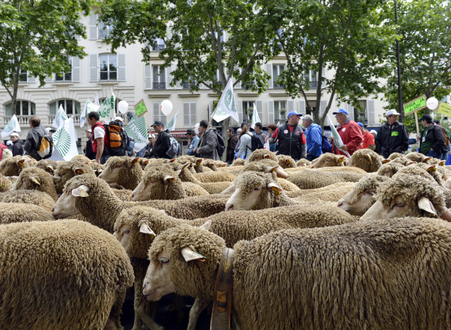 site de rencontre pour eleveur