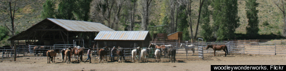 Ranch