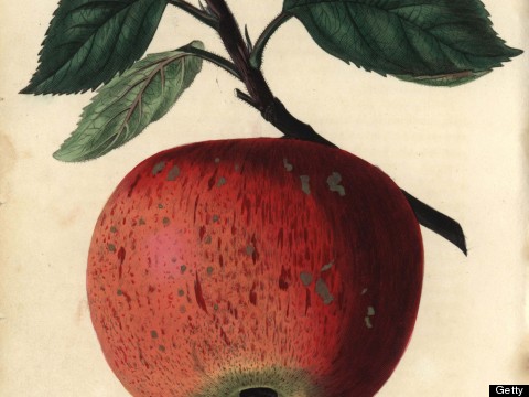 5 Things You Didn't Know About Apples  