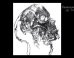This Robot Art Will Blow Your Mind