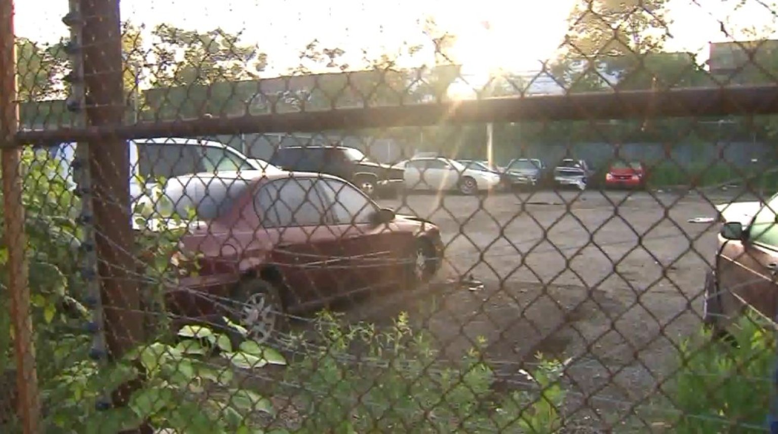 Stolen Cars In Chicago Lawn Tow Yard More Than 80 Cars, Parts