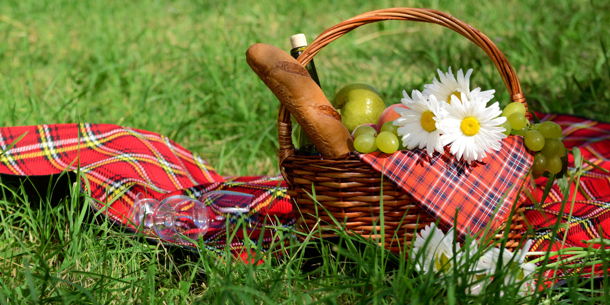 oPICNICfacebook.jpg (2000×1000)