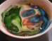 WATCH: Milk Experiment Is A Magical Rainbow Of Awesomeness