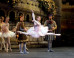 Andrew Blackmore-Dobbyn: Sarah Lane: All American Ballerina