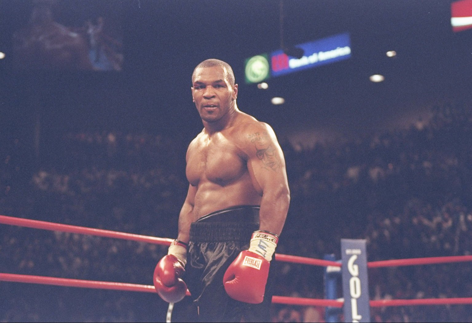 Mike Tyson Facts | Complex | HuffPost