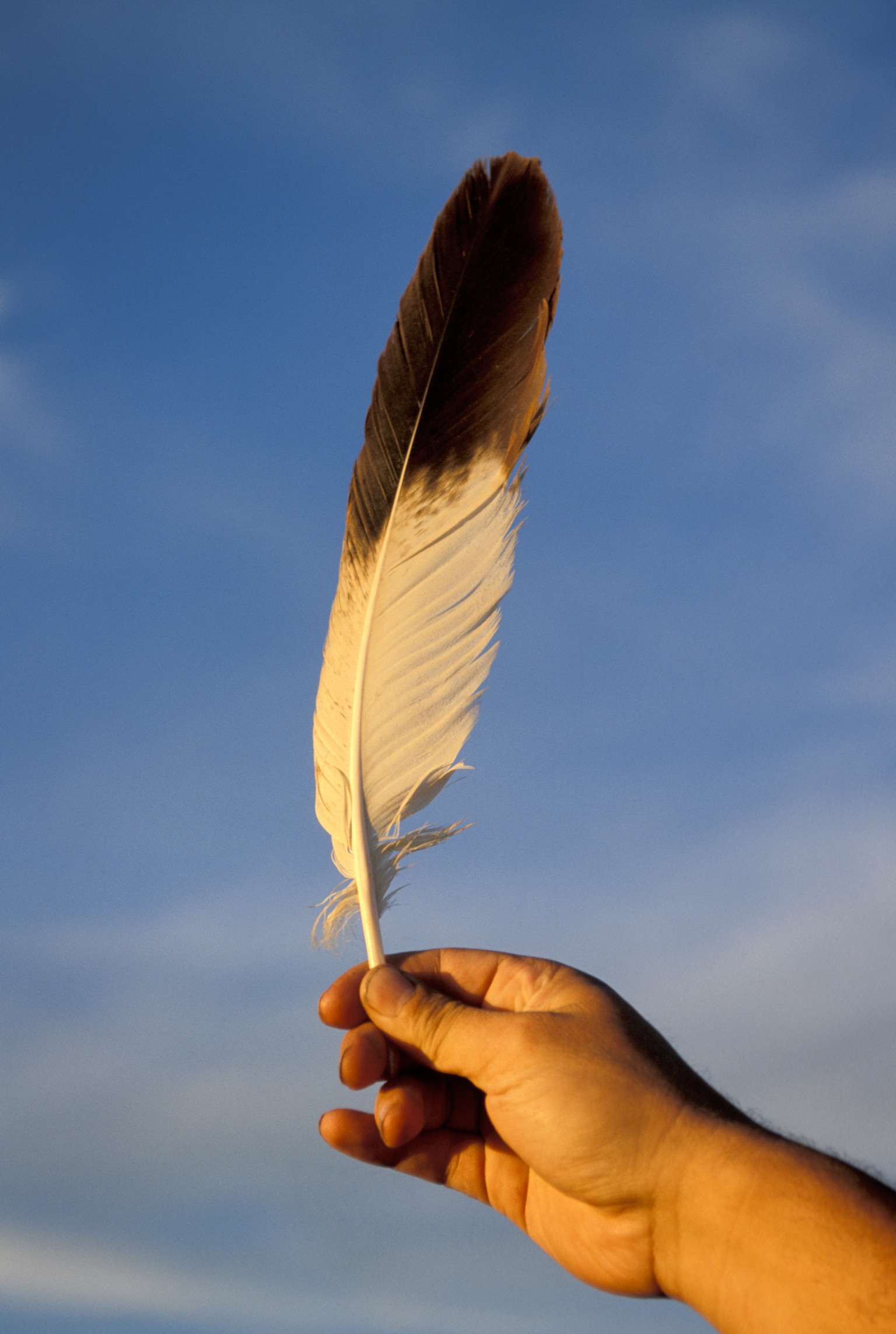 Sky Walkingstick, Alabama Student, Says He Was Threatened For Trying To 