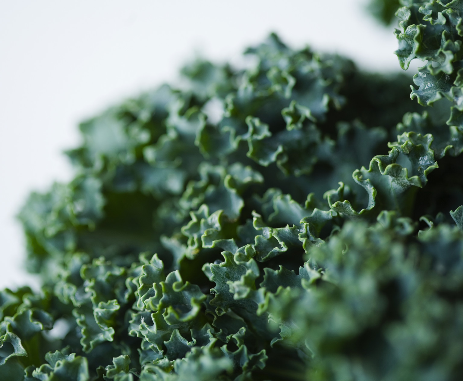 This Is Your Brain on Kale HuffPost