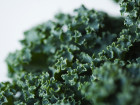 This Is Your Brain On Kale