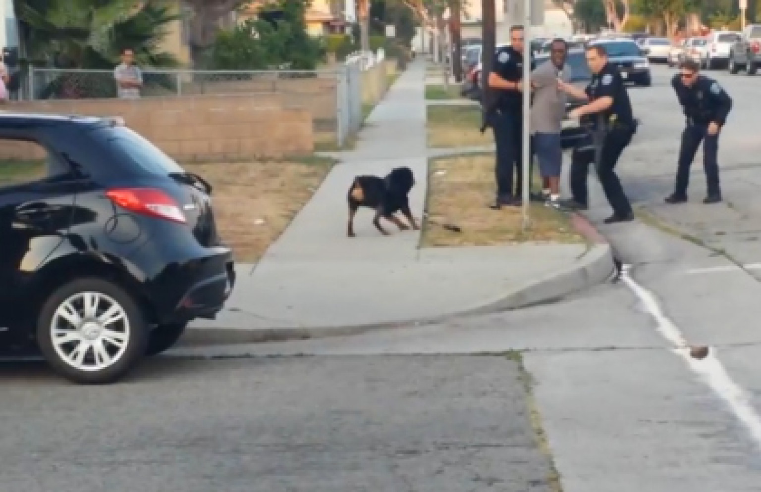 Police Shoot Dog In Hawthorne, California - Ott板 - Disp BBS