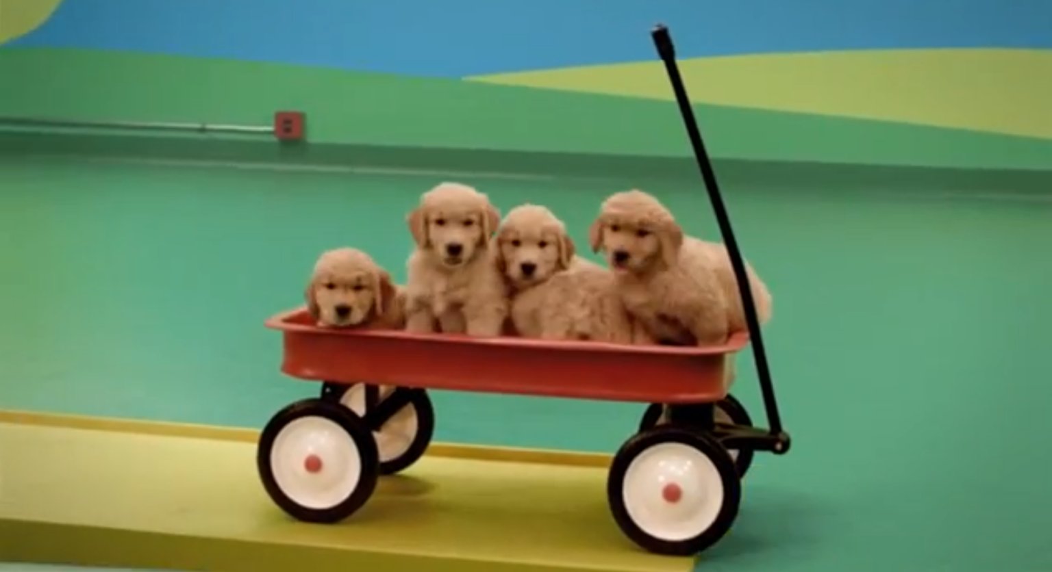 Beneful 'Dog Goldberg Machine' Is The Best Dog Food Advert Ever (VIDEO