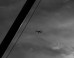 Jaime Rojo: Jaime Rojo on the ImageBlog