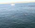 WATCH: 10 Incredibly Close Shark Encounters