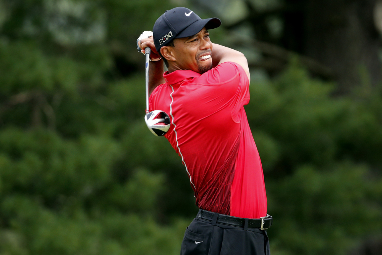 British Open 2013 Odds Tiger Woods Installed As 81