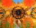 Robin Mitchell: Robin Mitchell on ImageBlog