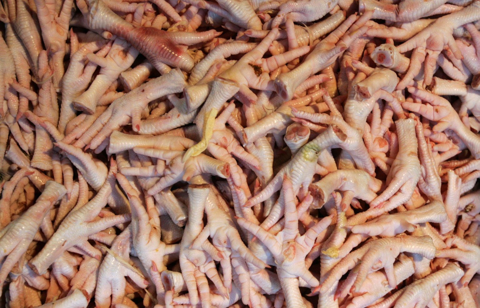 46YearOld Expired Chinese Chicken Feet Seized In Illegal Food