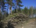 Forest Biomass Loses In Court Ruling
