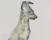 Kim McCarty: Kim McCarty on the ImageBlog