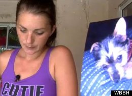 'Pet Flipping' Trend Involves Selling Missing Pets For Profit