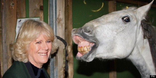 25 Funny Pictures Of Camilla, Duchess Of Cornwall