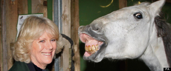 25 Funny Pictures Of Camilla, Duchess Of Cornwall