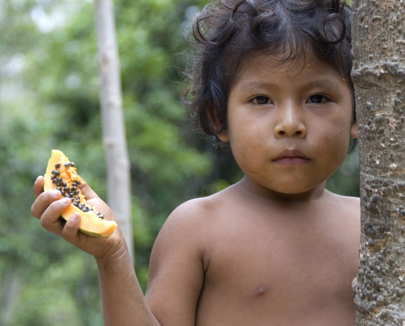 Brazil S Army Moves To Protect Indigenous Awá Tribe By Halting Illegal Logging Photos Huffpost