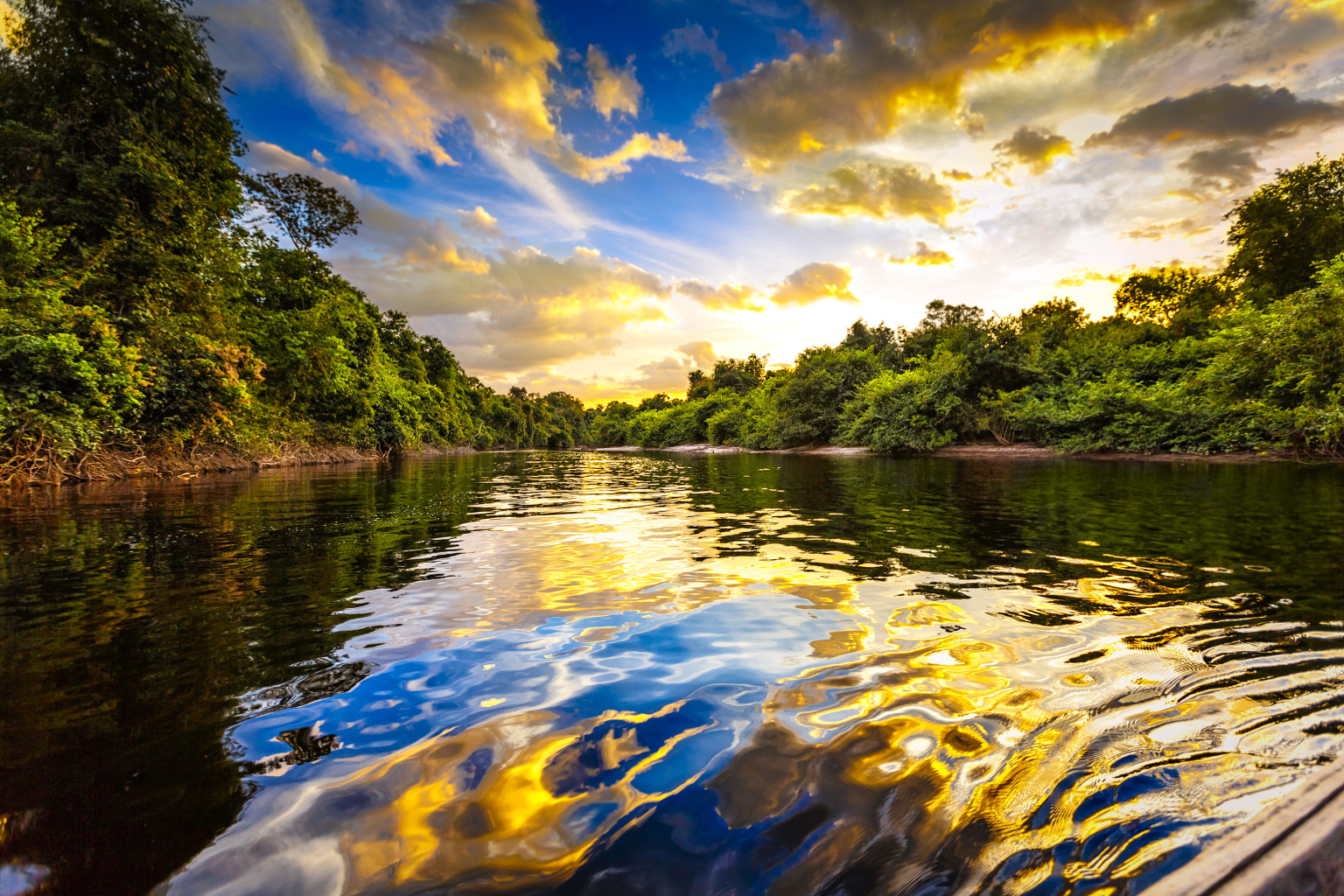 What Is The Name Of The Rainforest In Puerto Rico