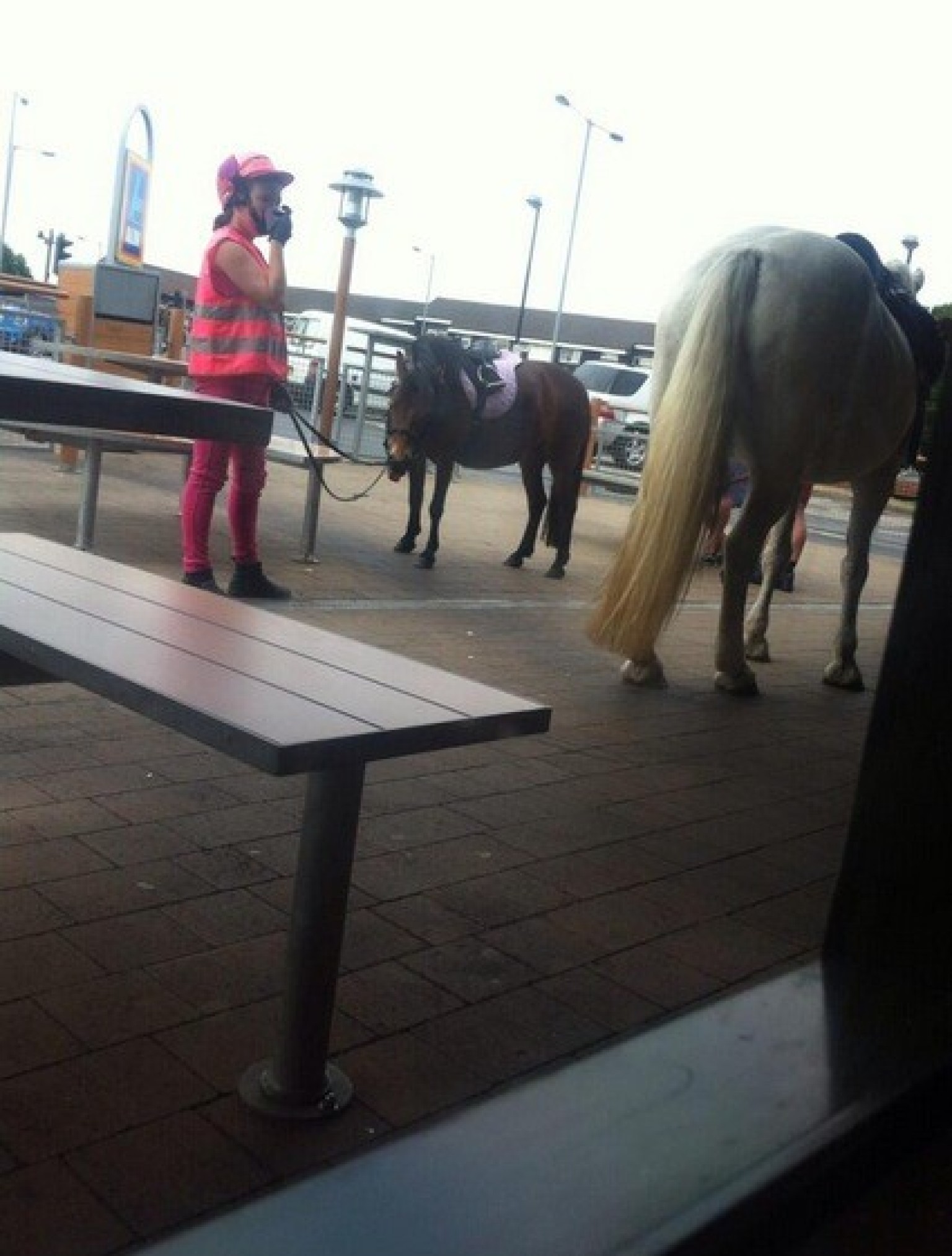 Woman Lets Horse Soil McDonalds Floor In Protest Over Service HuffPost UK