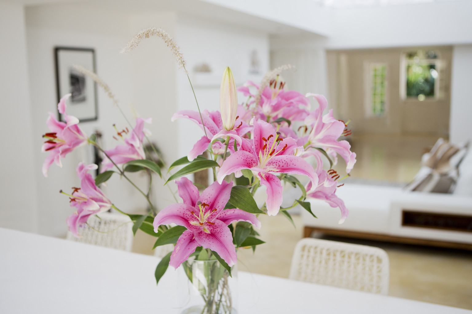 How To Keep Flowers Fresh Longer HuffPost how-to-keep-flowers-fresh-longer-huffpost