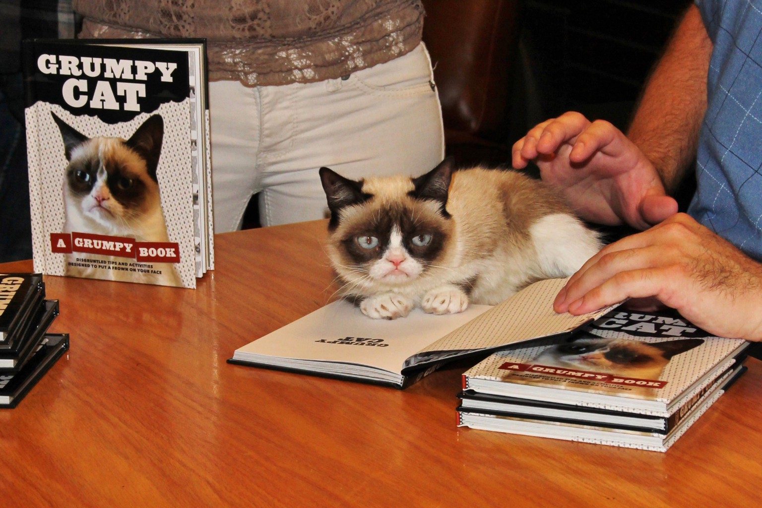 Grumpy Cat Does Not Look Impressed At Book Signing In Los Angeles