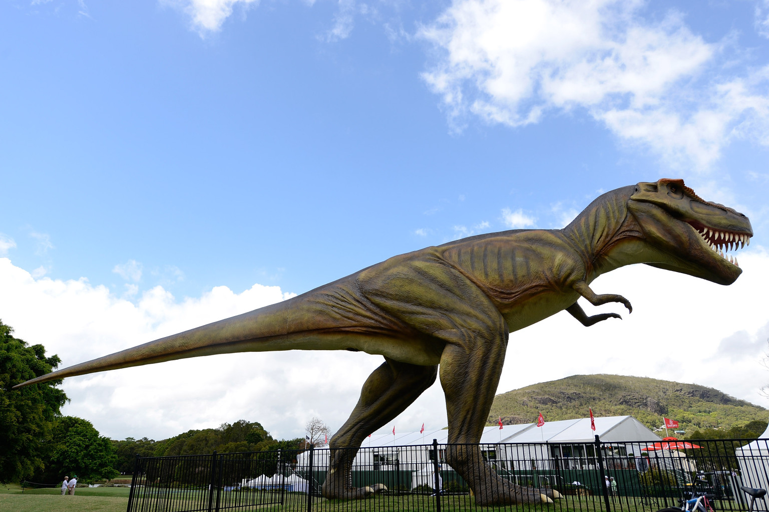 what is the world's largest dinosaur