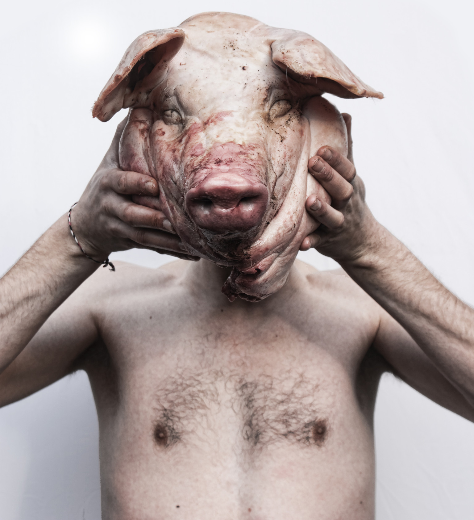 Pig Man Hybrid