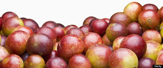 Camu Camu Benefits 